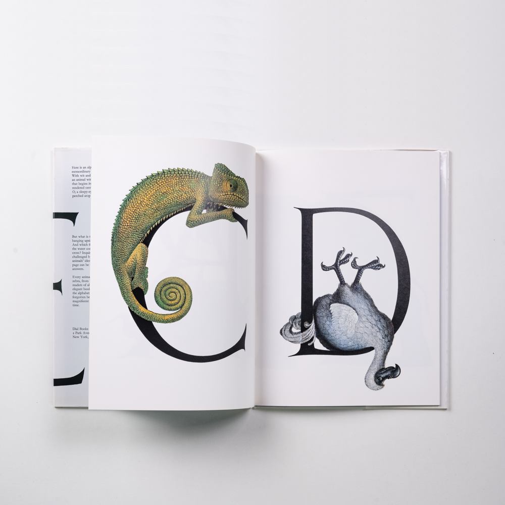 Bert Kitchen Animal alphabet - Bert Kitchen – carabas