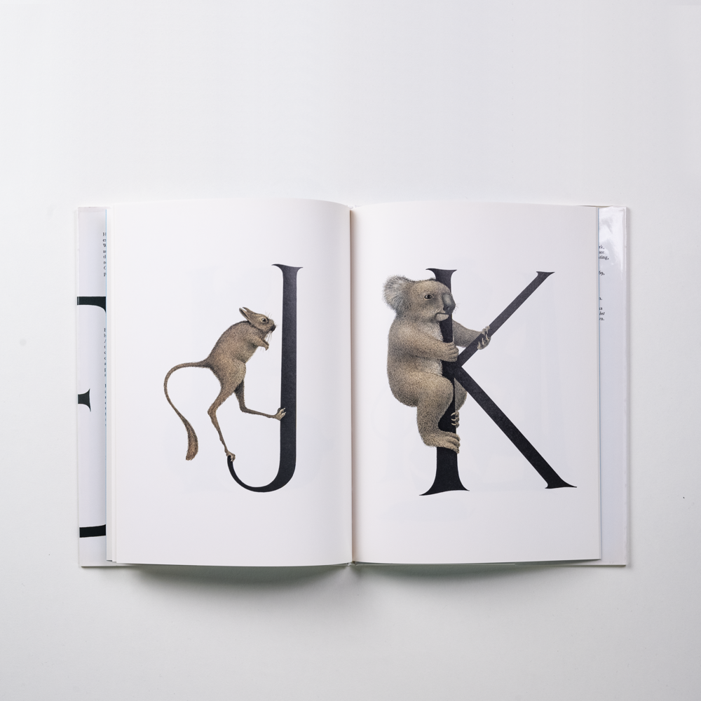 Bert Kitchen Animal alphabet - Bert Kitchen – carabas
