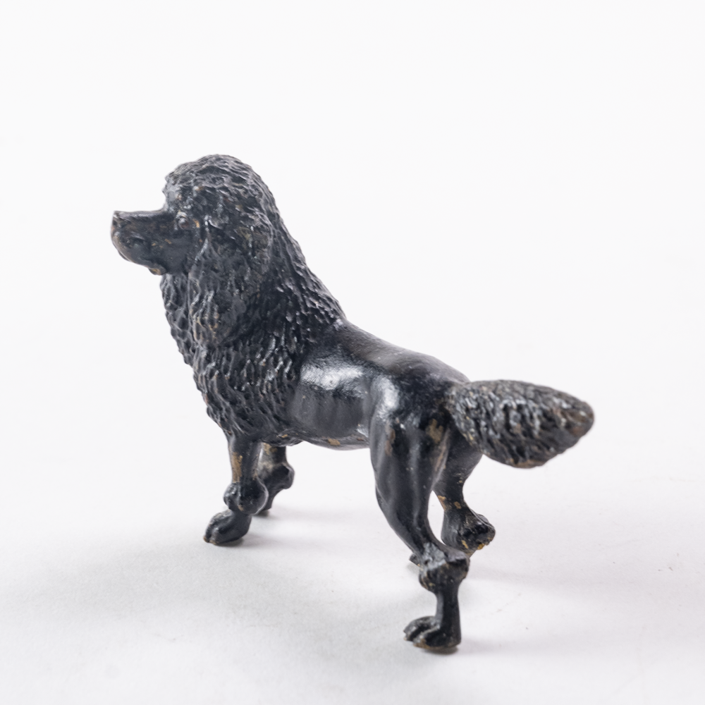 Bronze poodle dog