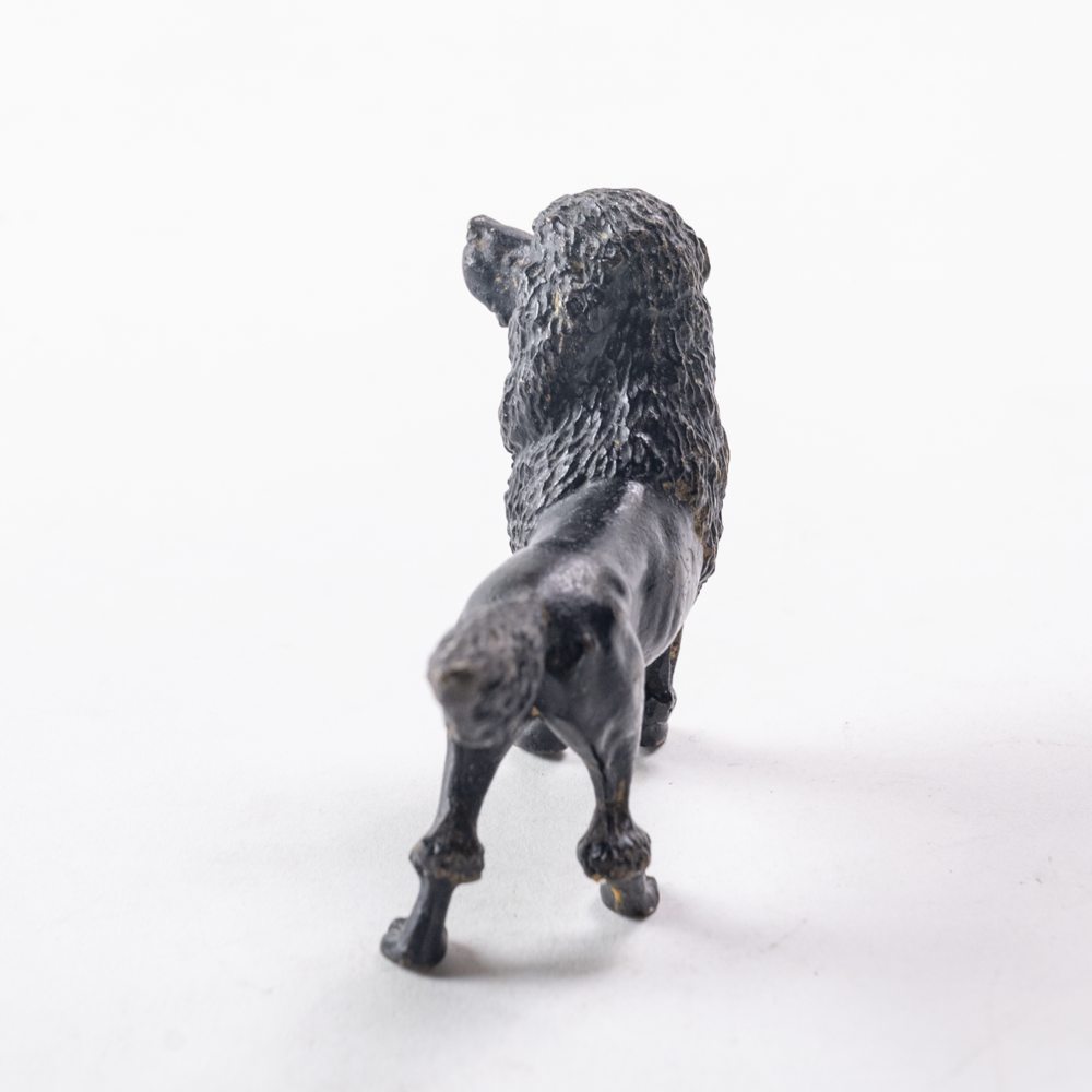 Bronze poodle dog