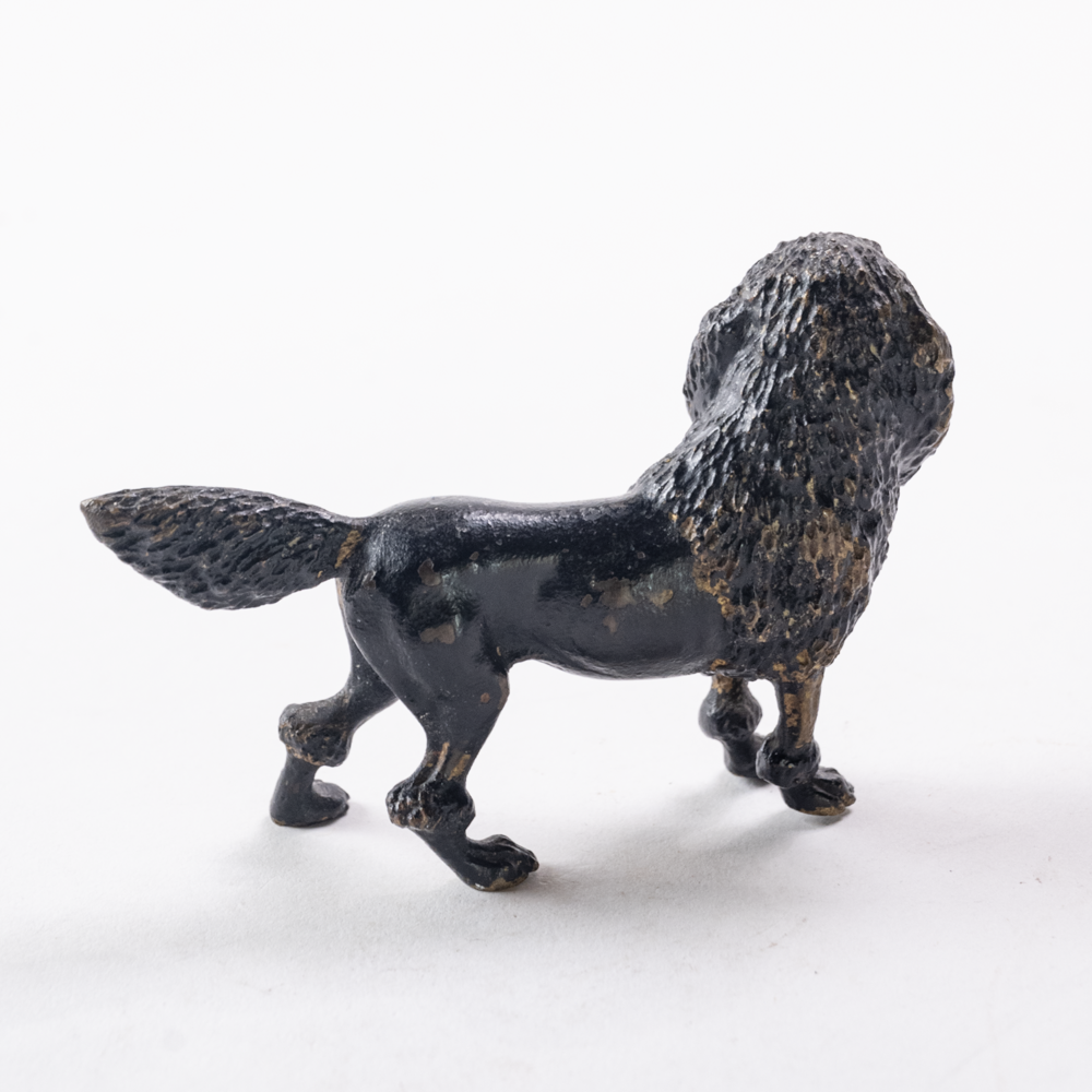 Bronze poodle dog