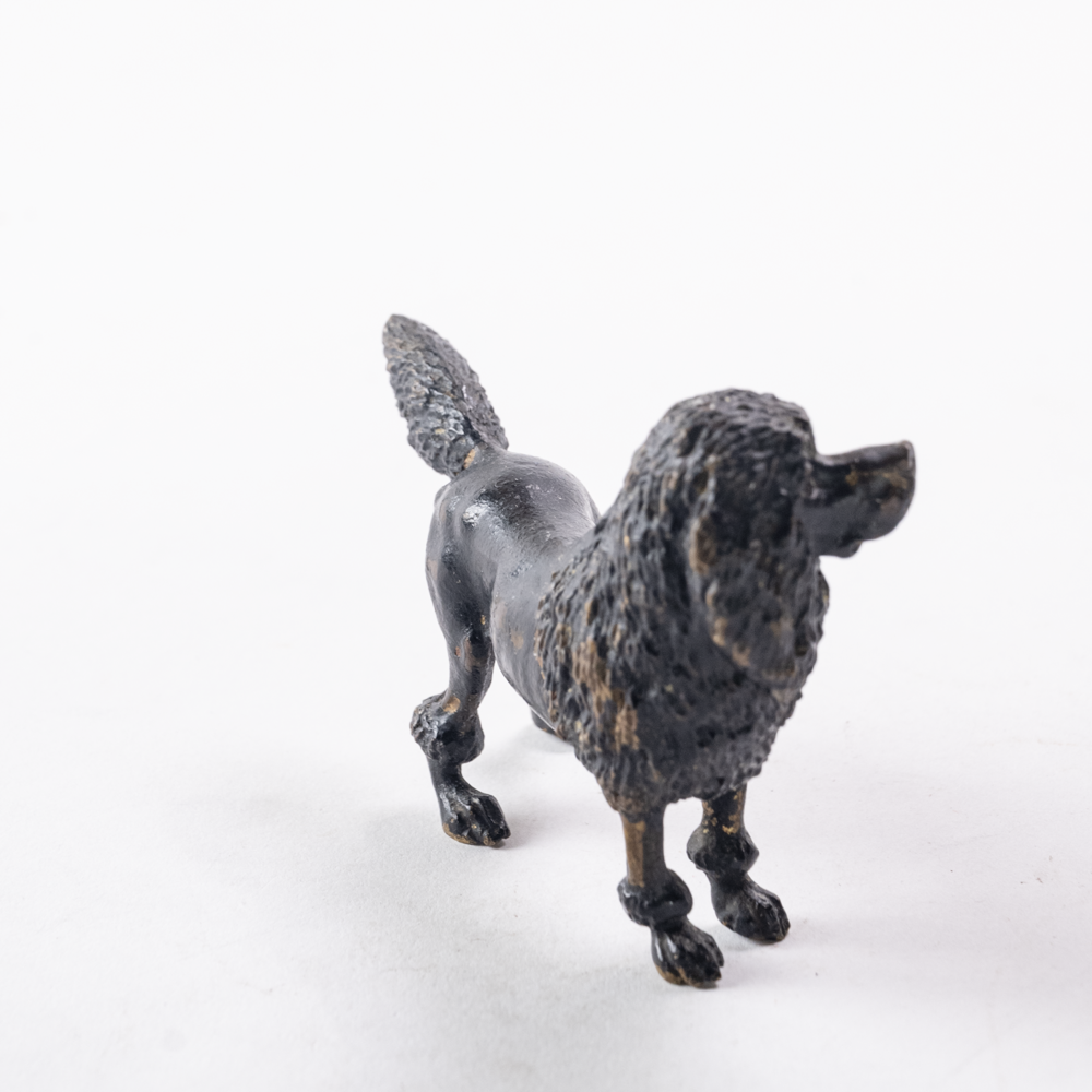 Bronze poodle dog