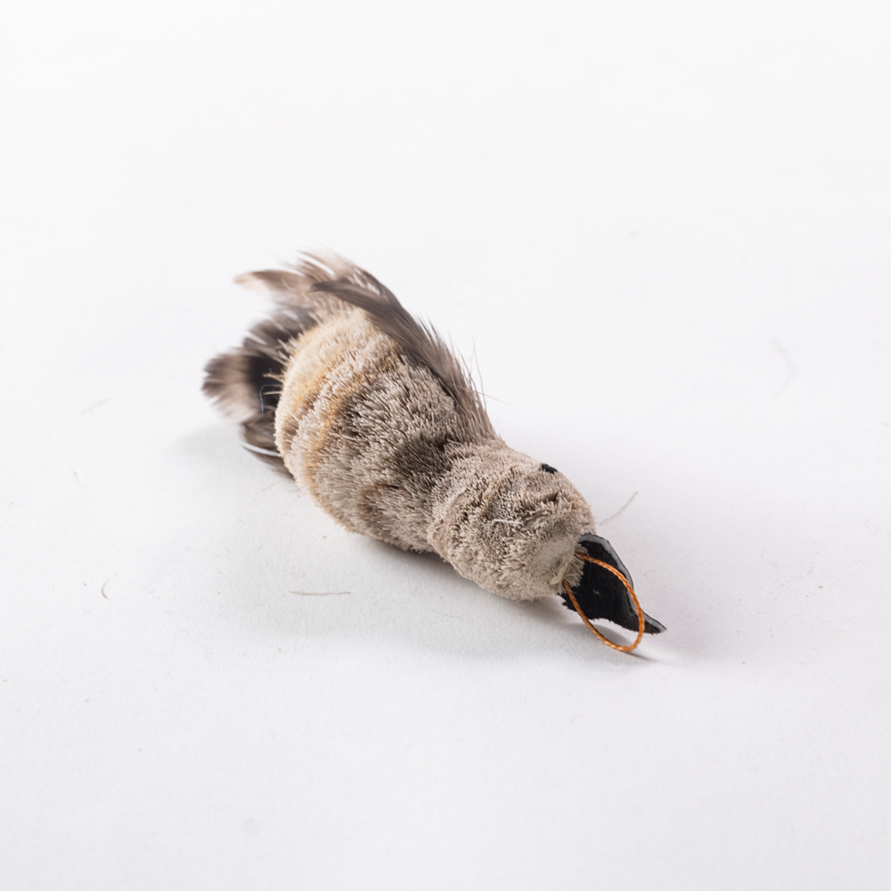 Cat toy wallace wren